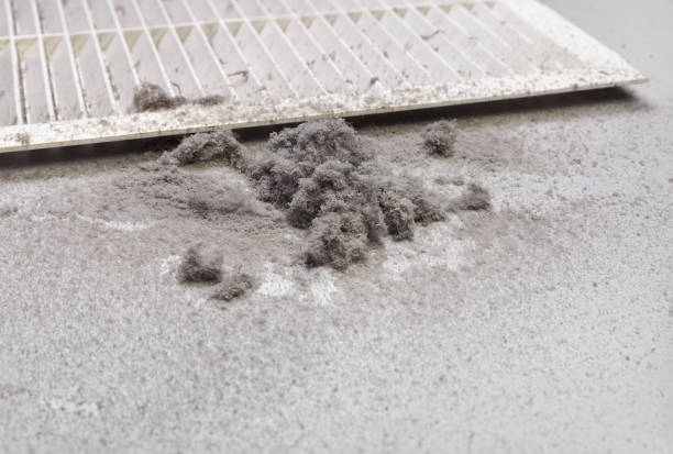 Best Ductwork Cleaning Services  in Crothersville, IN