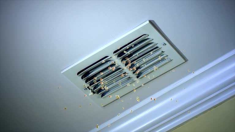 Best Ventilation Cleaning Services  in Crothersville, IN